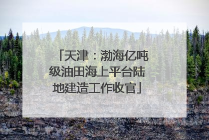 天津：渤海亿吨级油田海上平台陆地建造工作收官