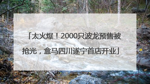 太火爆！2000只波龙预售被抢光，盒马四川遂宁首店开业