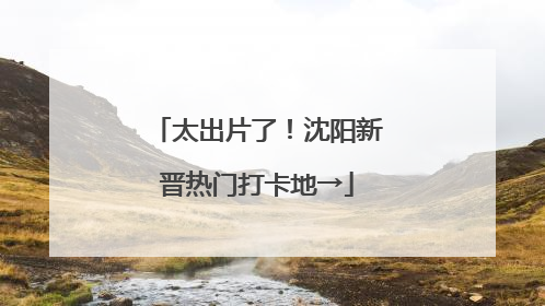 太出片了！沈阳新晋热门打卡地→