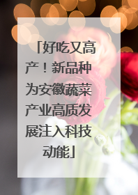 好吃又高产！新品种为安徽蔬菜产业高质发展注入科技动能