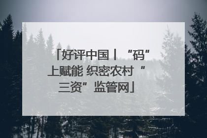 好评中国丨“码”上赋能 织密农村“三资”监管网