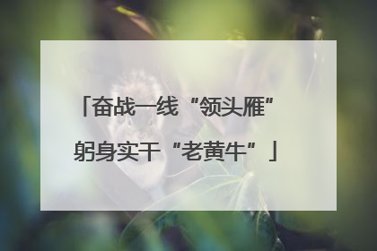 奋战一线“领头雁” 躬身实干“老黄牛”