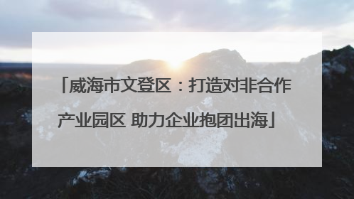 威海市文登区：打造对非合作产业园区 助力企业抱团出海
