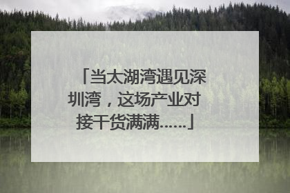 当太湖湾遇见深圳湾，这场产业对接干货满满……
