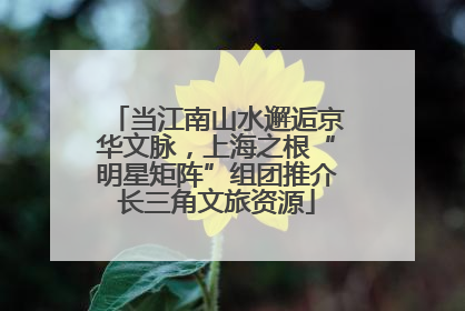 当江南山水邂逅京华文脉，上海之根“明星矩阵”组团推介长三角文旅资源