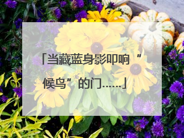 当藏蓝身影叩响“候鸟”的门……