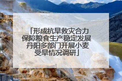 形成抗旱救灾合力 保障粮食生产稳定发展 丹阳多部门开展小麦受旱情况调研