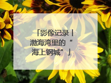 影像记录丨渤海湾里的“海上钢城”
