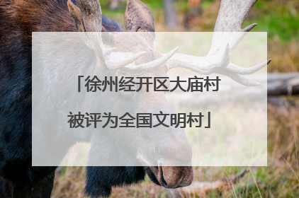 徐州经开区大庙村被评为全国文明村