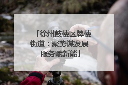 徐州鼓楼区牌楼街道：聚势谋发展 服务赋新能