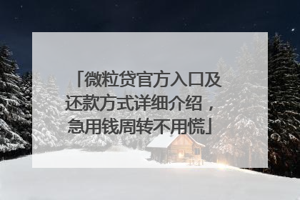 微粒贷官方入口及还款方式详细介绍，急用钱周转不用慌