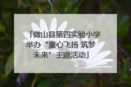 微山县第四实验小学举办“童心飞扬 筑梦未来”主题活动