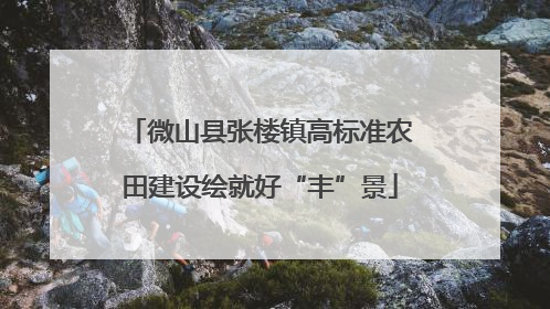 微山县张楼镇高标准农田建设绘就好“丰”景