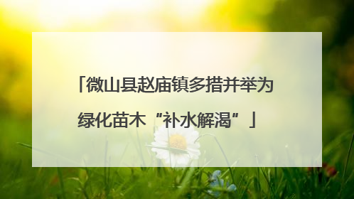 微山县赵庙镇多措并举为绿化苗木“补水解渴”