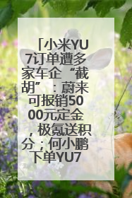 小米YU7订单遭多家车企“截胡”：蔚来可报销5000元定金，极氪送积分；何小鹏下单YU7，喊话雷军早点交付