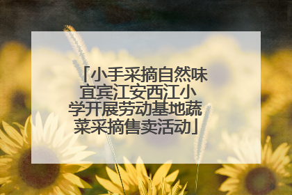 小手采摘自然味 宜宾江安西江小学开展劳动基地蔬菜采摘售卖活动