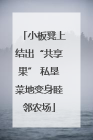 小板凳上结出“共享果” 私垦菜地变身睦邻农场