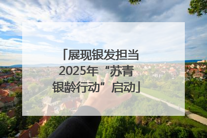 展现银发担当 2025年“苏青银龄行动”启动