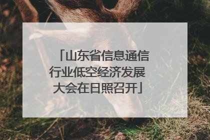 山东省信息通信行业低空经济发展大会在日照召开