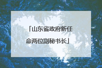 山东省政府新任命两位副秘书长
