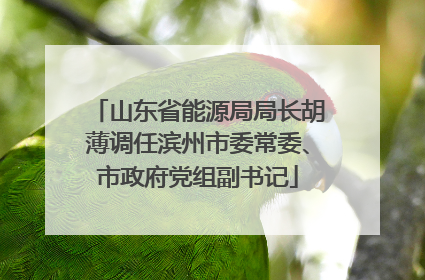山东省能源局局长胡薄调任滨州市委常委、市政府党组副书记