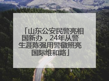 山东公安民警亮相国新办，24年从警生涯陈强用警徽照亮国际维和路