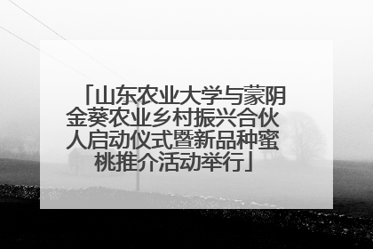 山东农业大学与蒙阴金葵农业乡村振兴合伙人启动仪式暨新品种蜜桃推介活动举行