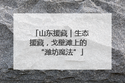山东援藏｜生态援藏，戈壁滩上的“潍坊魔法”