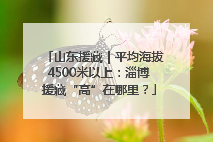 山东援藏｜平均海拔4500米以上：淄博援藏“高”在哪里？