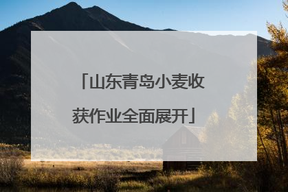 山东青岛小麦收获作业全面展开