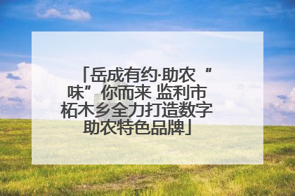 岳成有约·助农“味”你而来 监利市柘木乡全力打造数字助农特色品牌