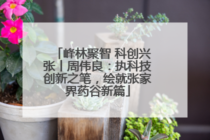峰林聚智 科创兴张丨周伟良：执科技创新之笔，绘就张家界药谷新篇