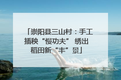 崇阳县三山村：手工插秧“慢功夫” 绣出稻田新“丰”景