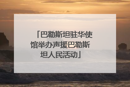 巴勒斯坦驻华使馆举办声援巴勒斯坦人民活动