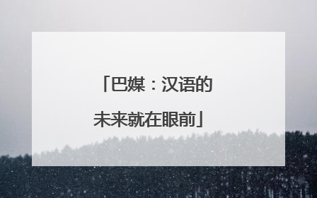 巴媒：汉语的未来就在眼前