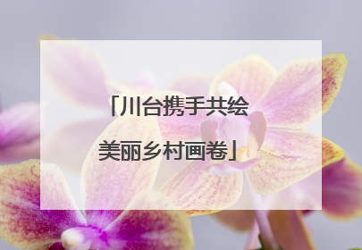 川台携手共绘美丽乡村画卷