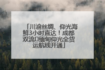 川渝丝绸、仰光海鲜3小时直达！成都双流⇌缅甸仰光全货运航线开通