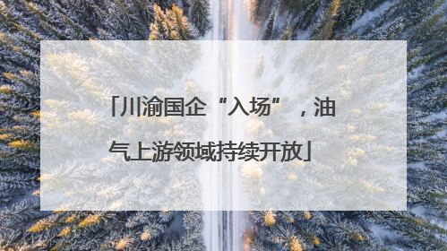 川渝国企“入场”，油气上游领域持续开放