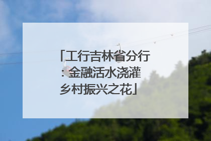 工行吉林省分行：金融活水浇灌 乡村振兴之花