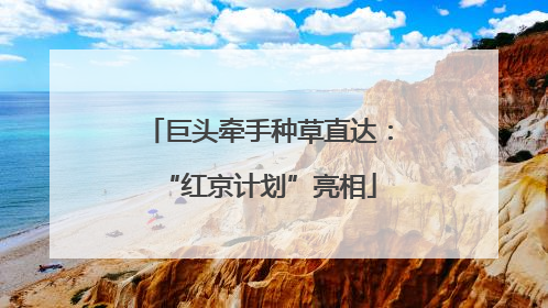 巨头牵手种草直达：“红京计划”亮相
