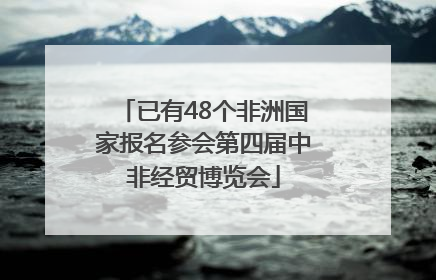 已有48个非洲国家报名参会第四届中非经贸博览会