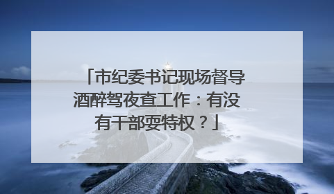 市纪委书记现场督导酒醉驾夜查工作：有没有干部耍特权？