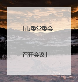 市委常委会召开会议