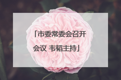 市委常委会召开会议 韦韬主持