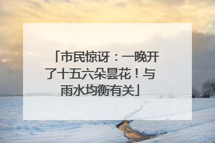 市民惊讶：一晚开了十五六朵昙花！与雨水均衡有关