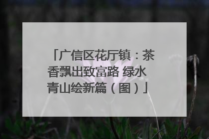 广信区花厅镇：茶香飘出致富路 绿水青山绘新篇（图）