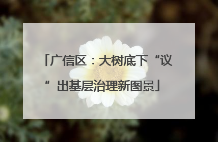 广信区：大树底下“议”出基层治理新图景