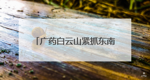 广药白云山紧抓东南亚市场机遇，开启医药产业合作新篇！