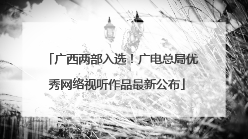 广西两部入选！广电总局优秀网络视听作品最新公布
