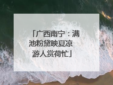 广西南宁：满池粉黛映夏凉 游人赏荷忙